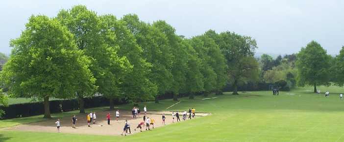 The School Field: May 8th.