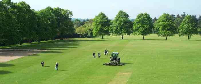 The School Field