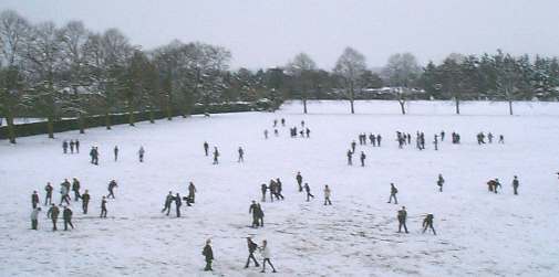 The School Field, image library